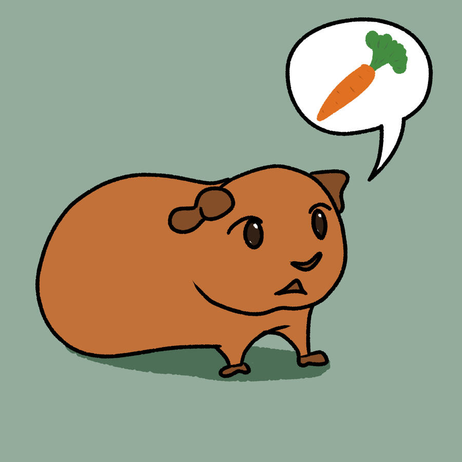Guinea Pig - hand-drawn digital art using Clip Studio Paint