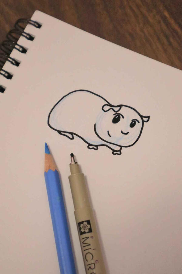 Guinea Pig - traditional pen and ink