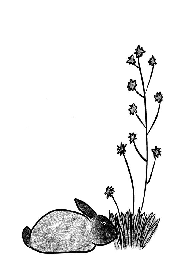 Bunny - hand-drawn digital art
